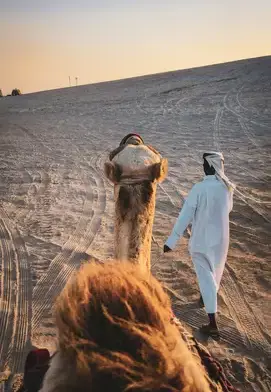 A camel being led through sandy desert terrain by a man in traditional white attire at sunset, viewed from the rider’s perspective.