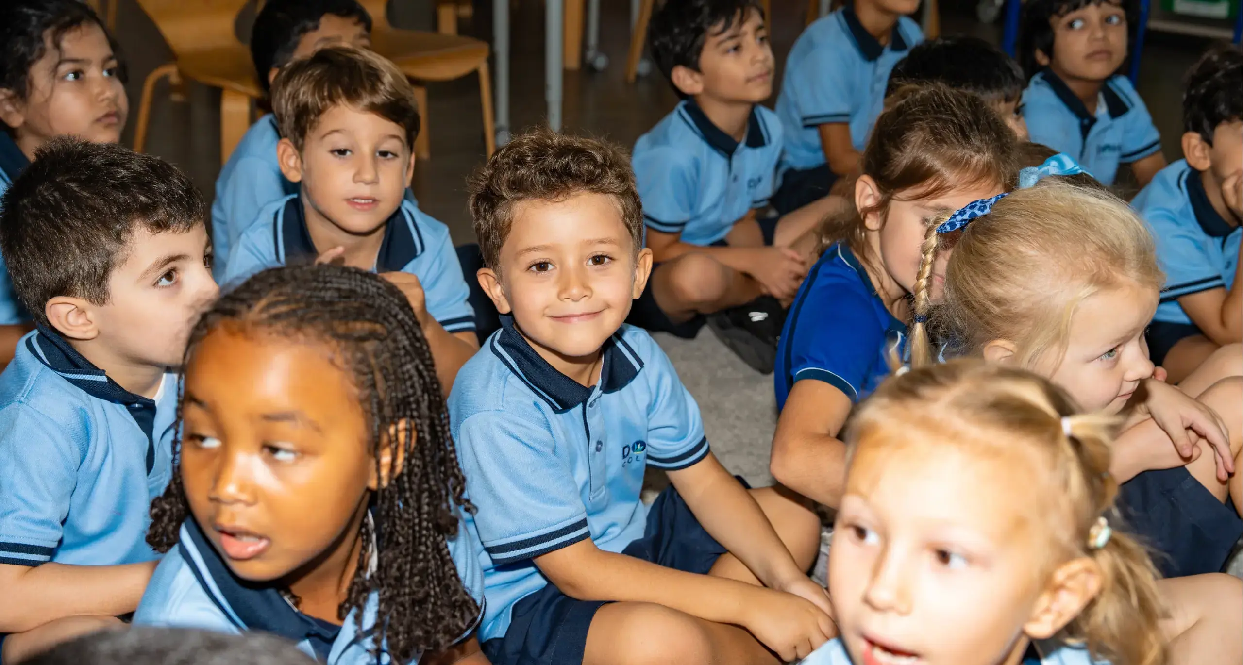 Primary School Student in Class Lesson